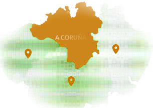 Group 45 e1771416123430