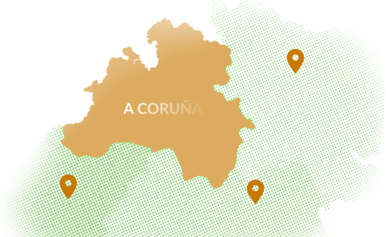 Group 49 e1771415258783